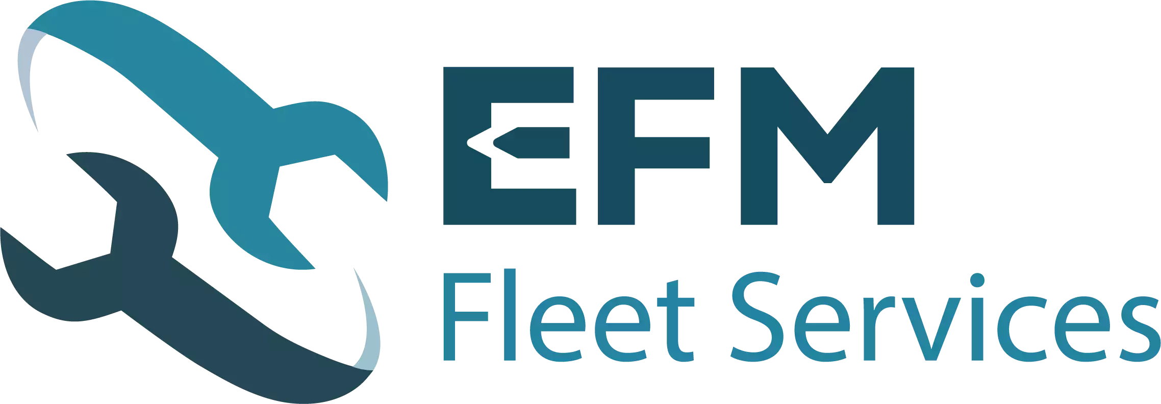 EFM logo in colour